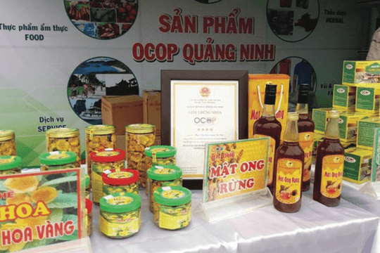 Quảng Ninh: Khoa học, công nghệ và đổi mới sáng tạo là động lực then chốt trong phát triển kinh tế - xã hội