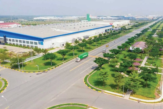 Hải Phòng: Giải pháp phát triển nhân lực số đến năm 2035