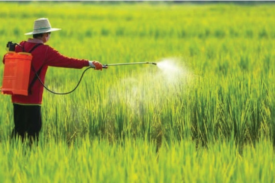 Cảm biến giúp phát hiện nhanh thuốc diệt cỏ độc hại