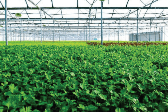 Khoa học và công nghệ phục vụ mục tiêu đạt mức phát thải ròng bằng 0 tại Việt Nam