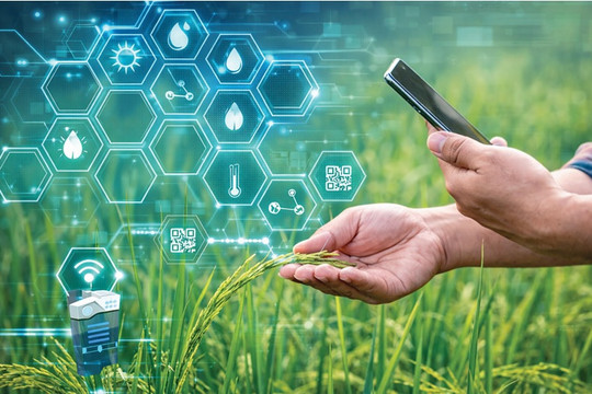Ứng dụng công nghệ blockchain trong nông nghiệp Việt Nam: Phân tích kinh nghiệm quốc tế và đề xuất lộ trình triển khai