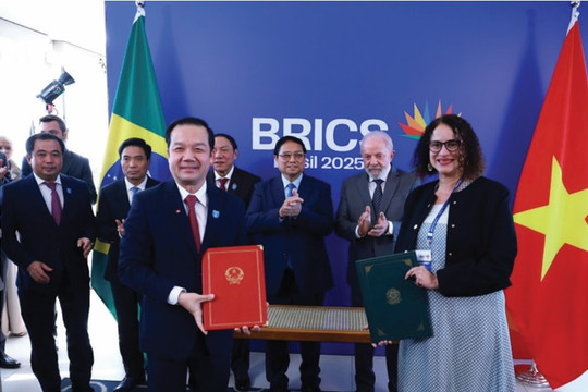 Triển vọng hợp tác khoa học, công nghệ, đổi mới sáng tạo và chuyển đổi số giữa Brazil và Việt Nam