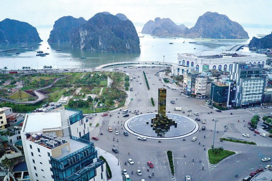 Khi lợi thế địa phương gặp công nghệ số: Hành trình khởi nghiệp mới ở Quảng Ninh