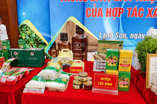 Lạng Sơn: Đo lường hiệu quả KH&CN trong tạo sinh kế vùng biên