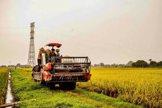 Ninh Bình tổ chức lại không gian nông nghiệp, khai thác lợi thế từng tiểu vùng