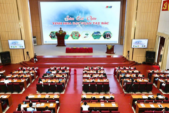 Khoa học, công nghệ mở hướng nâng tầm giá trị Sâm Lai Châu