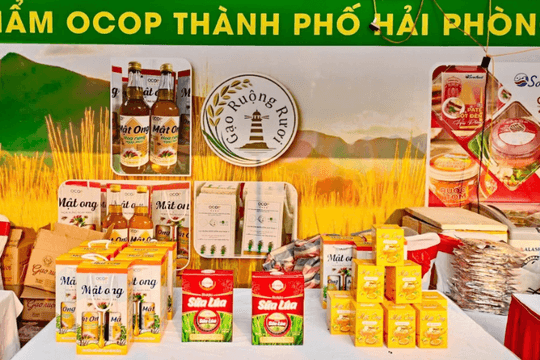 Hải Phòng: Quy chế mới về sở hữu trí tuệ có hiệu lực từ 1/10