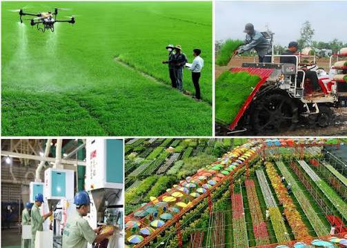 Đồng Tháp đề ra ba kịch bản tăng trưởng kinh tế số