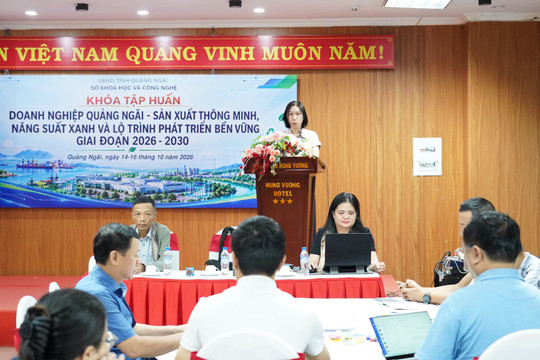Quảng Ngãi tập huấn doanh nghiệp về sản xuất thông minh, năng suất xanh và phát triển bền vững
