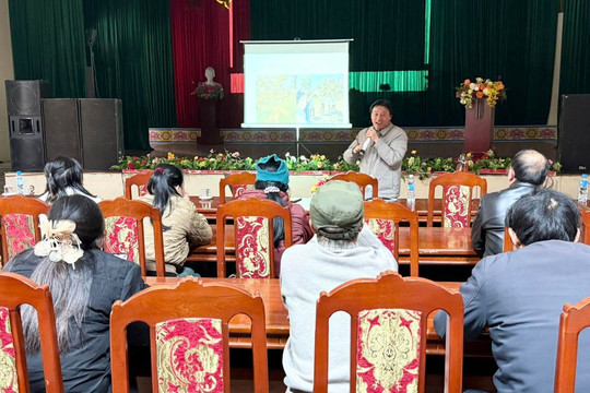 Hồng không hạt LT-1 mở hướng phát triển kinh tế tại xã Na Rì