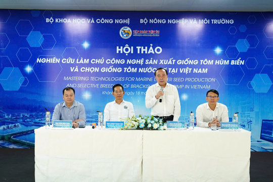 Làm chủ giống tôm hùm: Từ nghiên cứu đến sản xuất