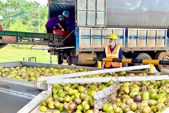 Khoa học, công nghệ mở không gian phát triển mới cho Gia Lai
