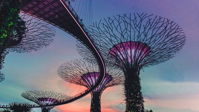  Singapore dẫn đầu về sẵn sàng AI, cáp quang khu vực châu Á - Thái Bình Dương 