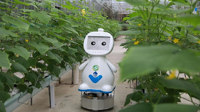  Trung Quốc đẩy mạnh phát triển robot trang trại 