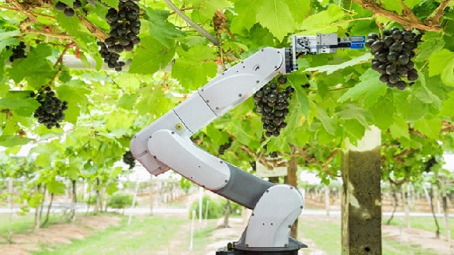 Hà Lan giải quyết các thách thức trong nông nghiệp bằng công nghệ 