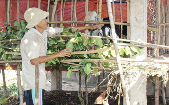 Bà Rịa - Vũng Tàu: Tiếp tục đẩy mạnh công tác giảm nghèo bền vững