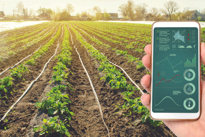 IoT & bức tranh toàn cảnh nông nghiệp toàn cầu