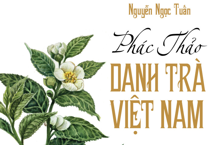 Cuốn sách về muôn màu của thế giới trà Việt