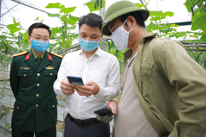 Ứng dụng chuyển đổi số giúp nông sản Việt thoát cảnh "giải cứu" 