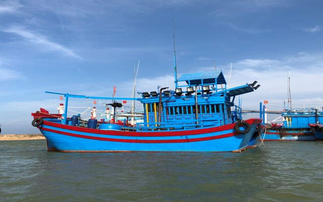 Bình Định: Đảm bảo 100% tàu cá có chứng nhận an toàn thực phẩm trong tháng 6