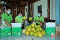 Sản phẩm nông nghiệp đầu tiên của Hà Tĩnh áp dụng quy trình chuyển đổi số