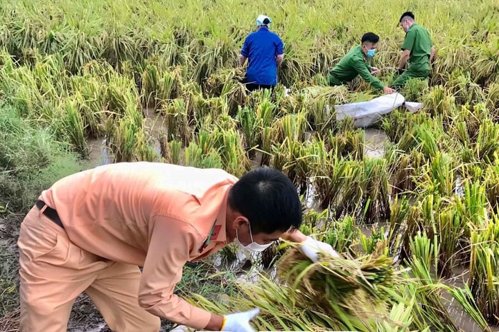 Thái Bình khẩn trương thực hiện nhiều giải pháp ứng phó với liên hoàn bão