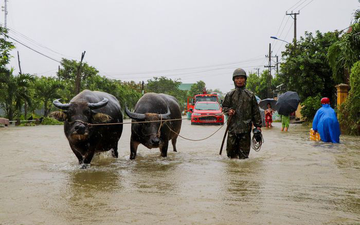 Ban Chỉ đạo quốc gia về PCTT họp ứng phó với mưa lũ miền Trung