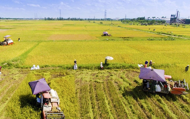 Nỗ lực loại bỏ các rào cản trong số hóa nông nghiệp