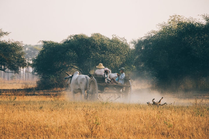 Những rào cản trong việc triển khai các ứng dụng agritech tại Myanmar