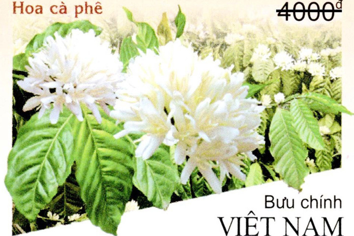 Việt Nam phát hành bộ tem bưu chính quảng bá cây cà phê