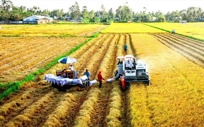Năng suất lao động trong nông nghiệp: Phải có nông dân chuyên nghiệp