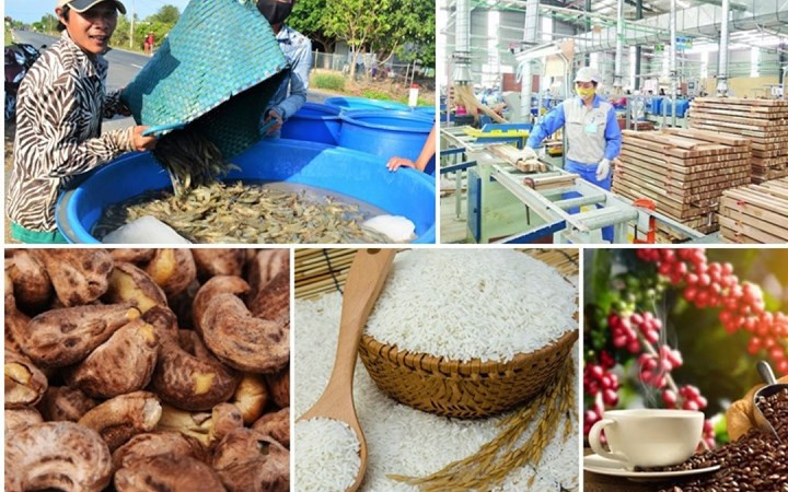 Tiếp tục tăng cường trao đổi thương mại nông sản giữa Việt Nam và EU trong tương lai