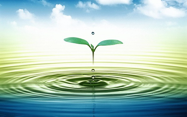 Bảo vệ nguồn tài nguyên nước bền vững