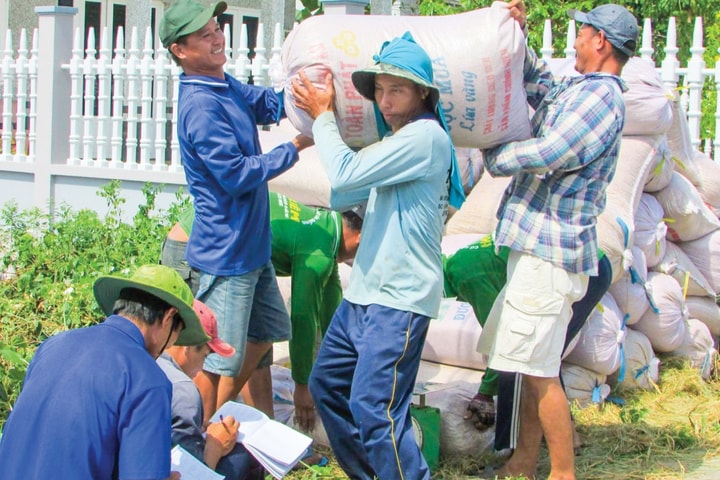 Vai trò của hợp tác xã đối với phát triển kinh tế thời hội nhập