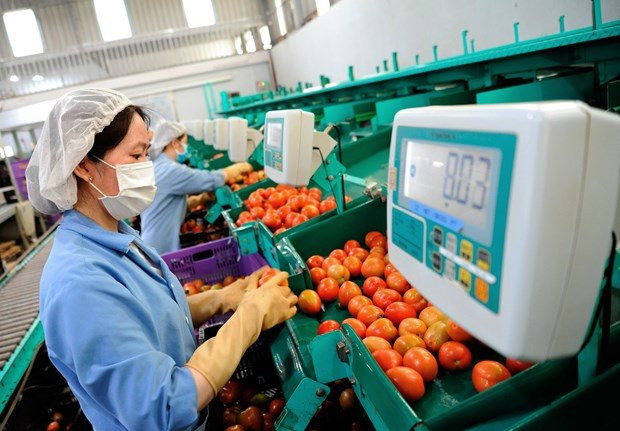 Ưu tiên đẩy mạnh chế biến nông sản Việt chất lượng, tăng cạnh tranh trên thị trường quốc tế