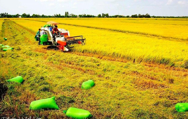 Bước ngoặt mới cho phát triển nông nghiệp Đồng Bằng Sông Cửu Long từ một Đề án