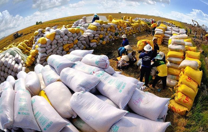 Giá trị xuất khẩu gạo của Việt Nam tăng mạnh