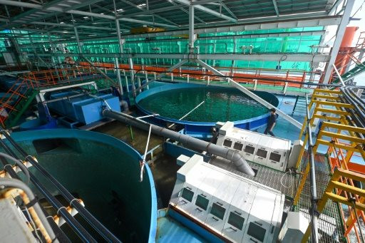 Ứng dụng công nghệ để vận hành trang trại cá nổi siêu sạch ngoài khơi Singapore