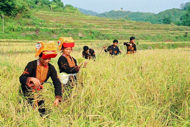 Sáu nhóm giải pháp trọng tâm truyền thông chính sách về đa văn hóa Việt Nam