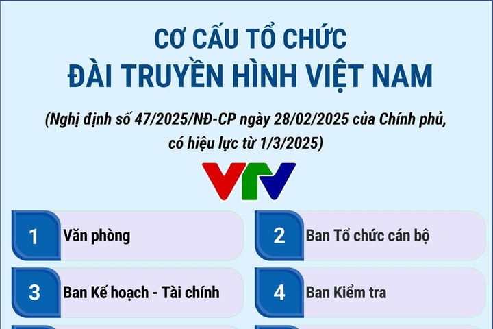 Cơ cấu tổ chức của Đài Truyền hình Việt Nam