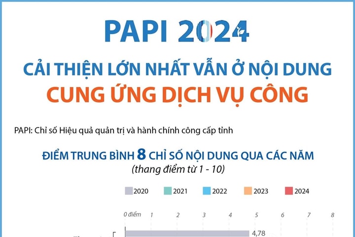 PAPI 2024: Cải thiện lớn nhất vẫn ở nội dung Cung ứng dịch vụ công