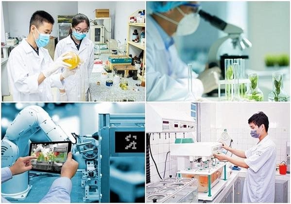 Thu hút nhân tài KH&CN bằng hỗ trợ "vượt khung"