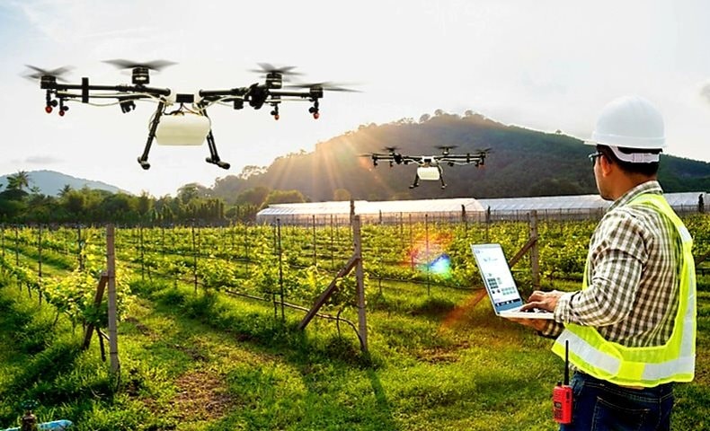 Tiếp cận AI giúp nâng cao năng suất và hiệu quả trong ngành nông nghiệp