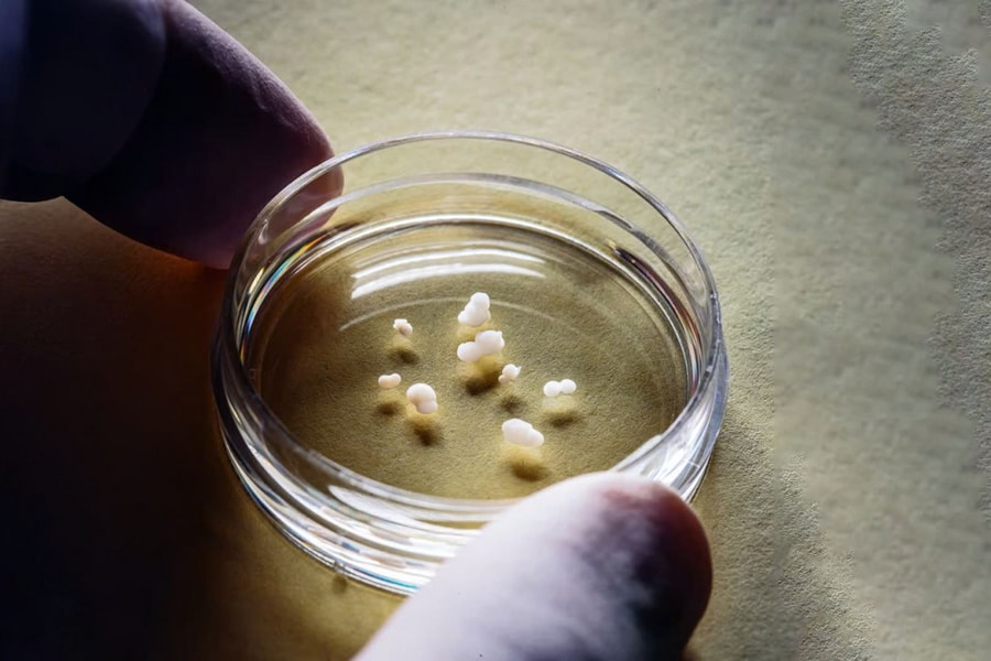 Mô hình đường truyền cảm giác đau mở ra hướng điều trị đau mãn tính hiệu quả hơn