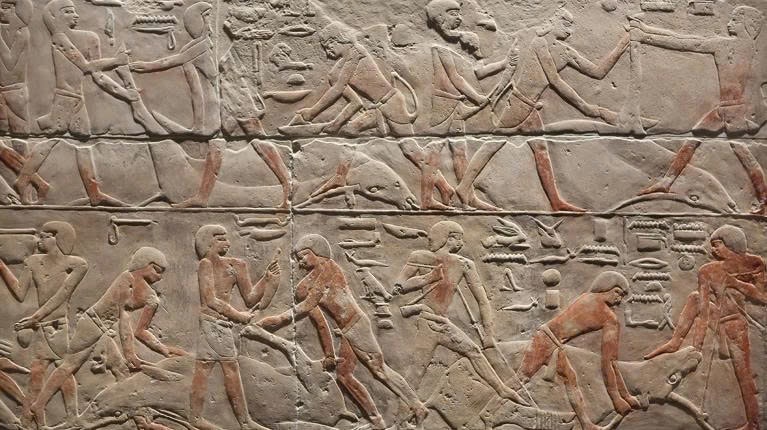 Lần đầu tiên giải trình tự toàn bộ bộ gen người Ai Cập cổ đại