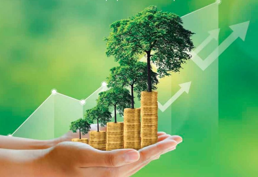 Đẩy mạnh truyền thông chính sách nhằm rút ngắn nhận thức và hành động về chuyển đổi xanh