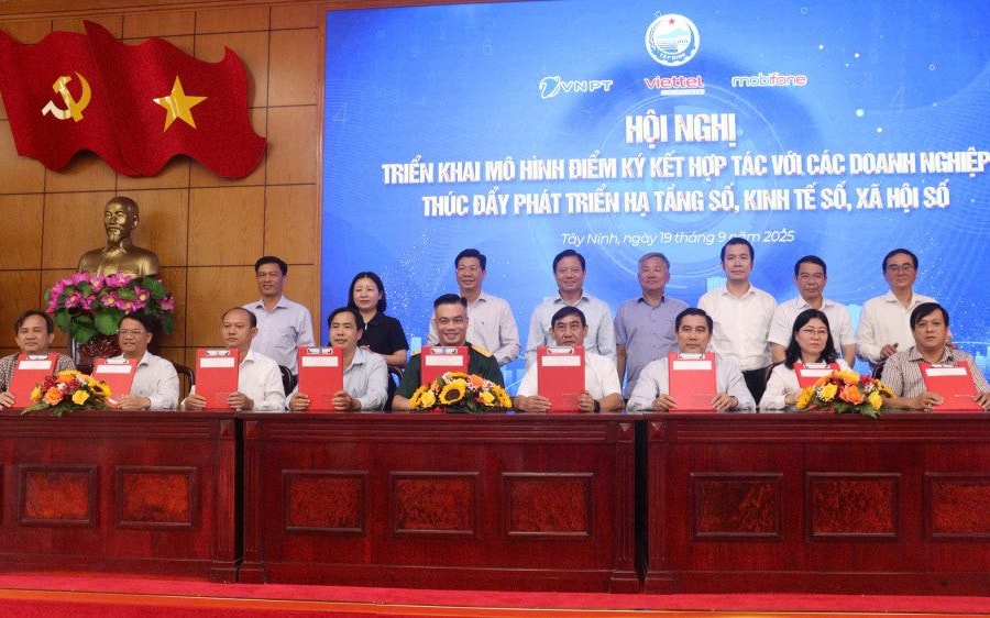 Tây Ninh phấn đấu 80% tỷ lệ người dân trưởng thành sử dụng dịch vụ số trong một số lĩnh vực vào năm 2025