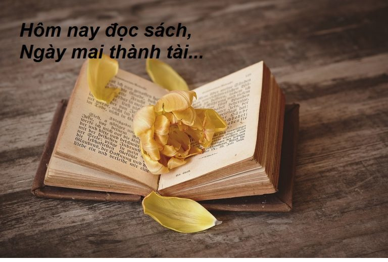 Thúc đẩy văn hóa đọc: Các mô hình hiệu quả