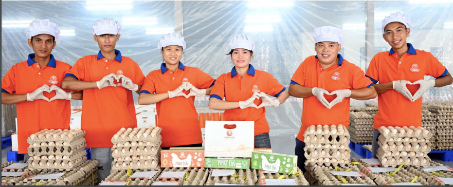 Trang trại nuôi gà đẻ trứng công nghệ cao tự động hóa toàn diện