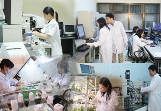 Nghị định 263/2025/NĐ-CP: Bước ngoặt trao quyền tự chủ toàn diện cho các tổ chức khoa học và công nghệ công lập